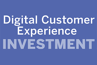 Digital Customer Experience Investment Survey